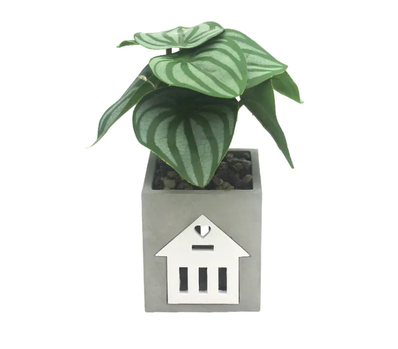 La lampe à ciment LED est-elle compatible avec Smart Home Systems, pour le contrôle vocal et l'automatisation?